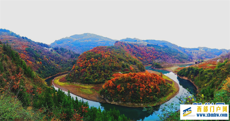 六盤水鐘山區： 紅葉滿山 冬景如畫(圖1)