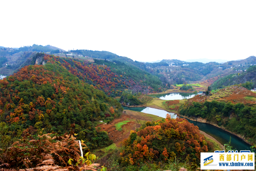 六盤水鐘山區： 紅葉滿山 冬景如畫(圖2)