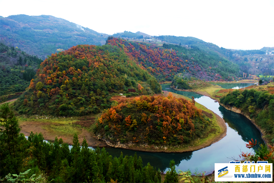 六盤水鐘山區： 紅葉滿山 冬景如畫(圖3)