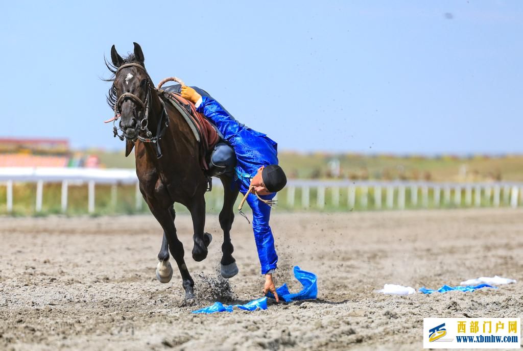 盛夏時節 在新疆昭蘇領略萬馬奔騰(圖9)